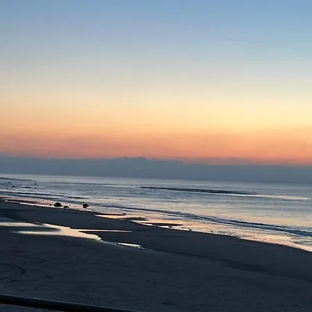 Idraetscenter - - הירטסהלס